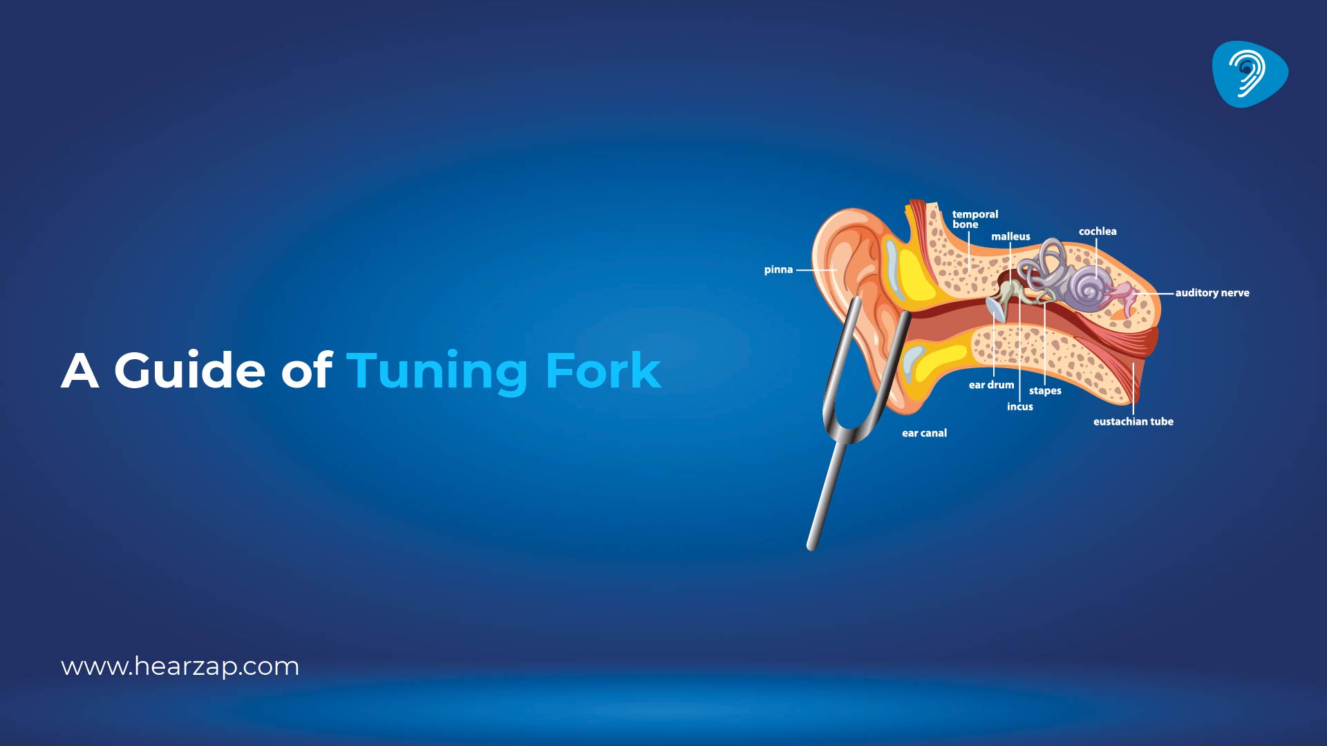 Tuning Fork Tests